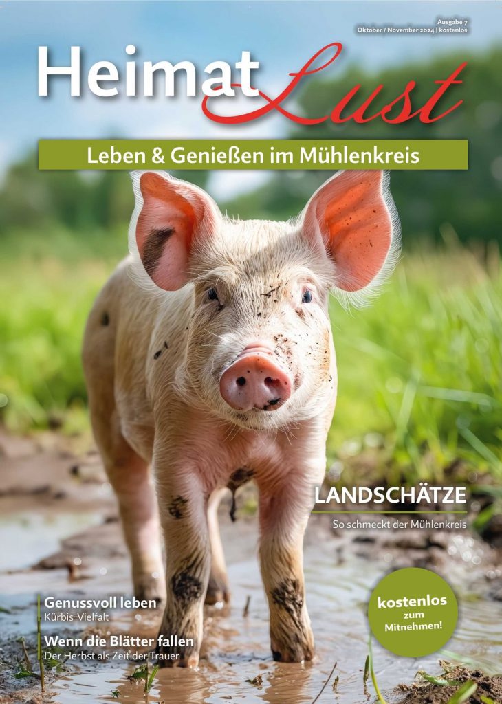 Abo 8 Ausgaben Heimatlust Mühlenkreis